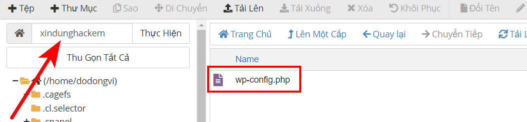 Tải File wp-config lên thư mục con vừa tạo mới